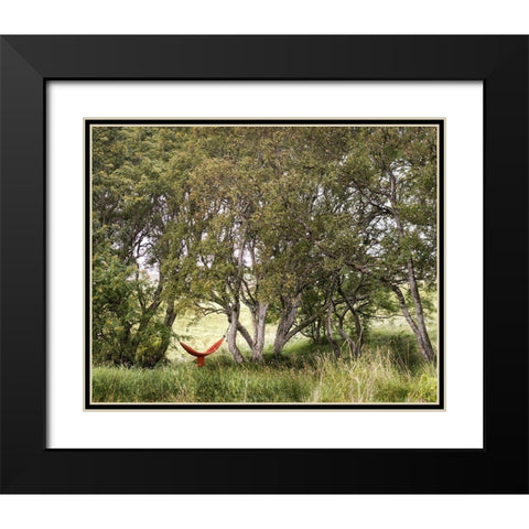 Red Hammock Black Modern Wood Framed Art Print with Double Matting by Head, Danny