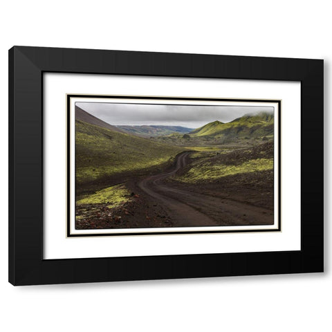 Chocolate Mint Black Modern Wood Framed Art Print with Double Matting by Head, Danny