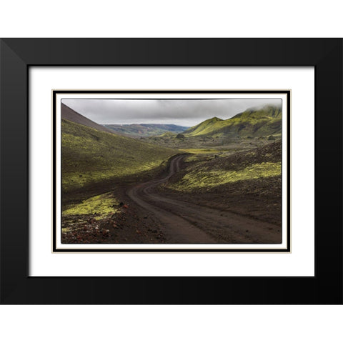 Chocolate Mint Black Modern Wood Framed Art Print with Double Matting by Head, Danny