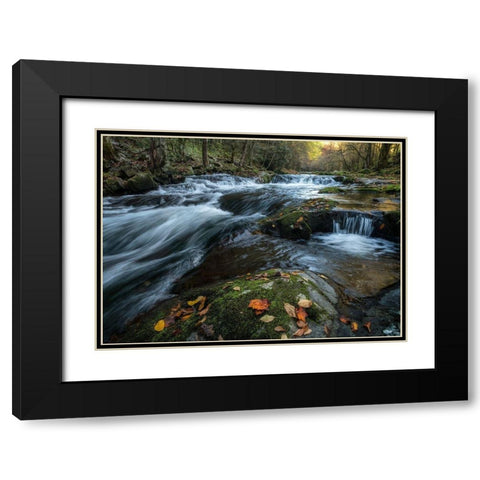 Mossy Rocks Black Modern Wood Framed Art Print with Double Matting by Head, Danny