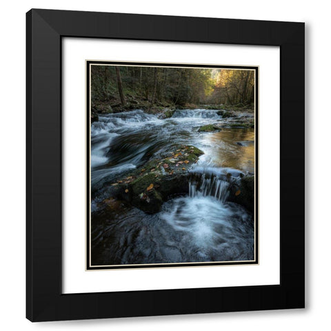 Moss and Leaves Black Modern Wood Framed Art Print with Double Matting by Head, Danny