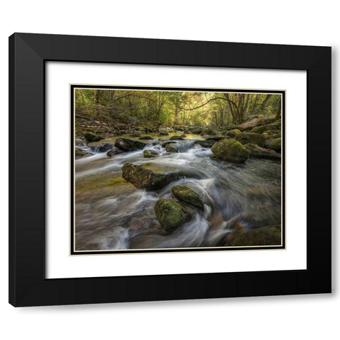 Under the Laurel Black Modern Wood Framed Art Print with Double Matting by Head, Danny