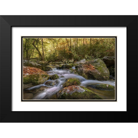 Listen Closely Black Modern Wood Framed Art Print with Double Matting by Head, Danny