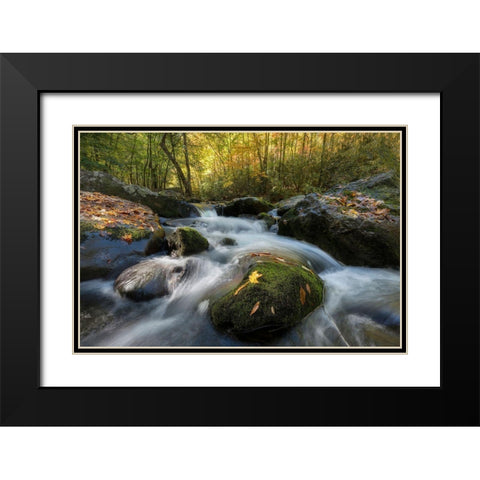 Yellow Leaf Black Modern Wood Framed Art Print with Double Matting by Head, Danny