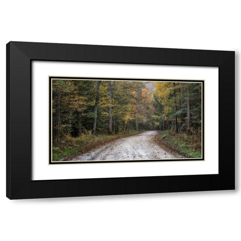 Crusing Greenbrier I Black Modern Wood Framed Art Print with Double Matting by Head, Danny