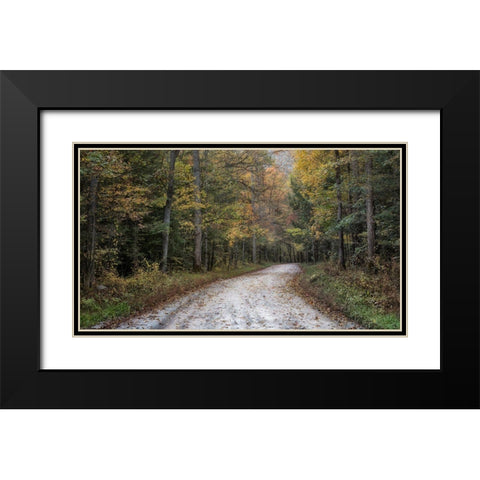 Crusing Greenbrier I Black Modern Wood Framed Art Print with Double Matting by Head, Danny