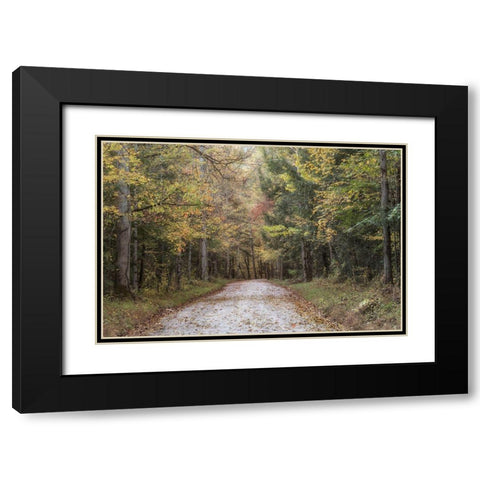 Crusing Greenbrier II Black Modern Wood Framed Art Print with Double Matting by Head, Danny