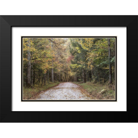 Crusing Greenbrier II Black Modern Wood Framed Art Print with Double Matting by Head, Danny