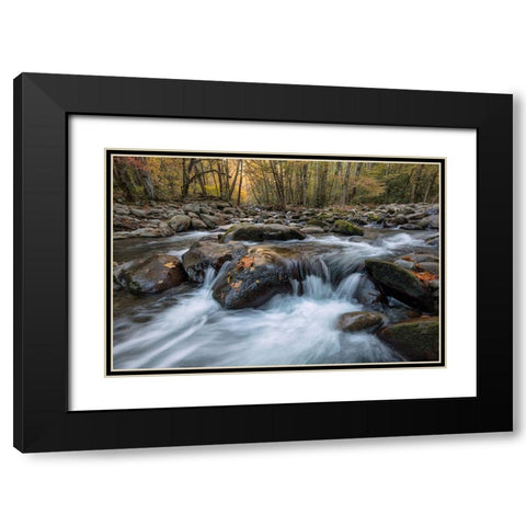 Rust Leaf Black Modern Wood Framed Art Print with Double Matting by Head, Danny