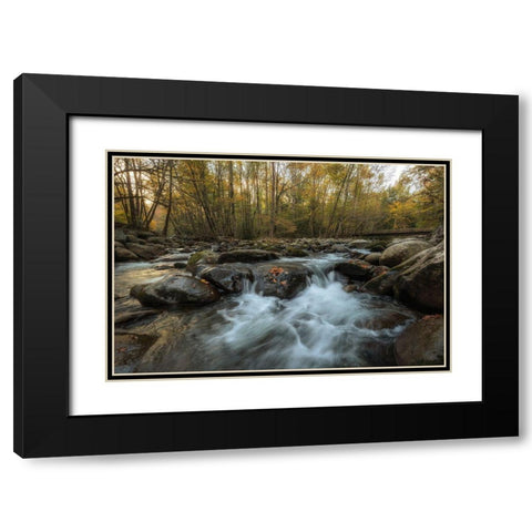 Amber Autumn II Black Modern Wood Framed Art Print with Double Matting by Head, Danny