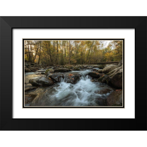 Amber Autumn II Black Modern Wood Framed Art Print with Double Matting by Head, Danny