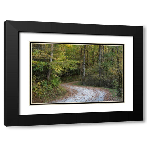 Up and Over I Black Modern Wood Framed Art Print with Double Matting by Head, Danny