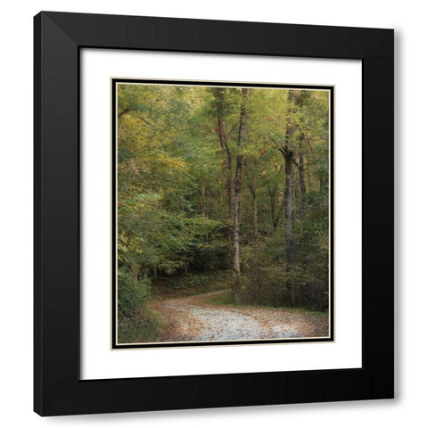 Up and Over II Black Modern Wood Framed Art Print with Double Matting by Head, Danny