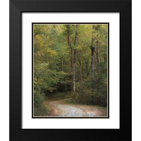 Up and Over II Black Modern Wood Framed Art Print with Double Matting by Head, Danny