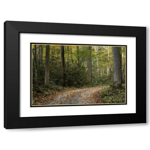 Turning Right Black Modern Wood Framed Art Print with Double Matting by Head, Danny