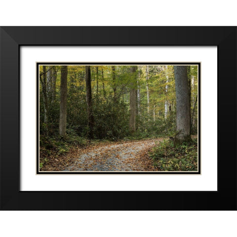 Turning Right Black Modern Wood Framed Art Print with Double Matting by Head, Danny