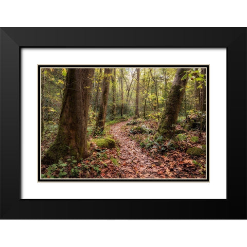 Mt Sterling Trail I Black Modern Wood Framed Art Print with Double Matting by Head, Danny