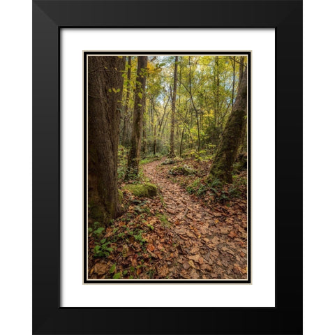 Mt Sterling Trail II Black Modern Wood Framed Art Print with Double Matting by Head, Danny