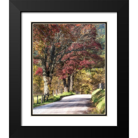 Cove Lane I Black Modern Wood Framed Art Print with Double Matting by Head, Danny