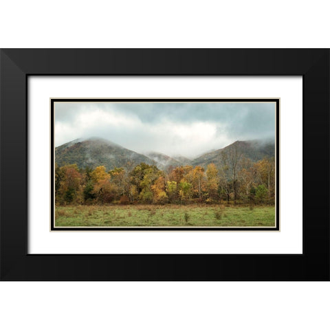 Misty Cove I Black Modern Wood Framed Art Print with Double Matting by Head, Danny