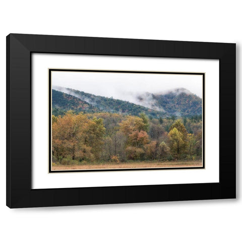 Misty Cove II Black Modern Wood Framed Art Print with Double Matting by Head, Danny