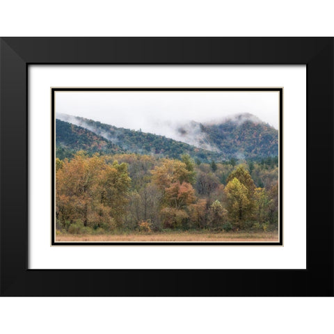 Misty Cove II Black Modern Wood Framed Art Print with Double Matting by Head, Danny