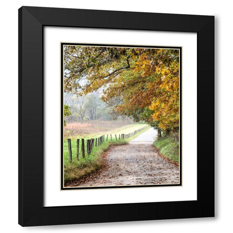 Cove lane II Black Modern Wood Framed Art Print with Double Matting by Head, Danny