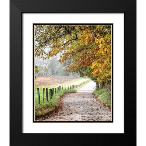 Cove lane II Black Modern Wood Framed Art Print with Double Matting by Head, Danny
