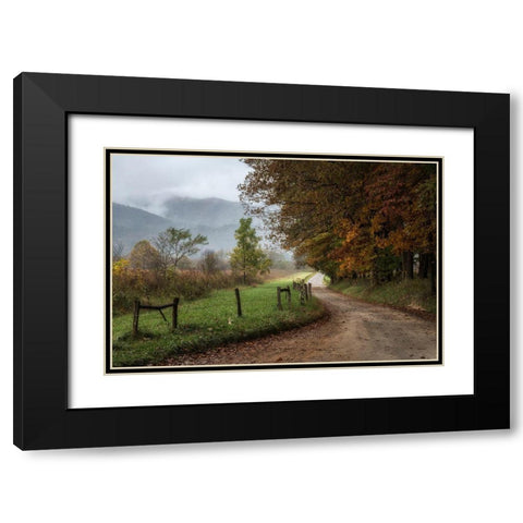Cove Lane IV Black Modern Wood Framed Art Print with Double Matting by Head, Danny