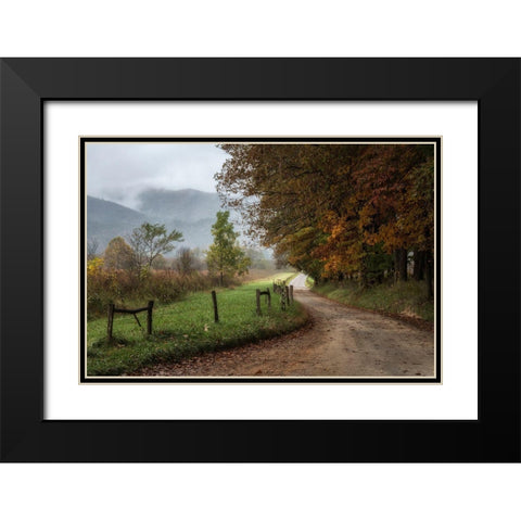 Cove Lane IV Black Modern Wood Framed Art Print with Double Matting by Head, Danny