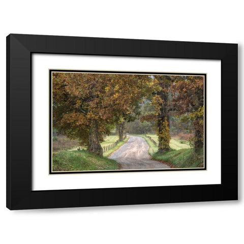 Between the Oaks Black Modern Wood Framed Art Print with Double Matting by Head, Danny
