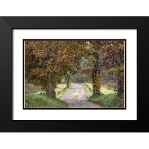 Between the Oaks Black Modern Wood Framed Art Print with Double Matting by Head, Danny