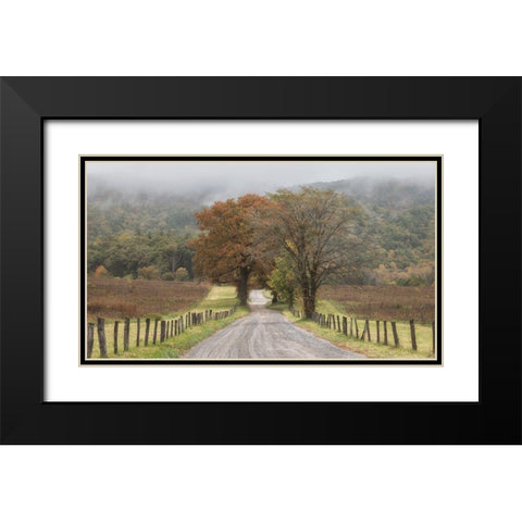 Looking Back Black Modern Wood Framed Art Print with Double Matting by Head, Danny