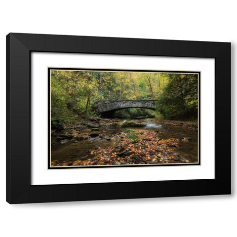 Arched Bridge Black Modern Wood Framed Art Print with Double Matting by Head, Danny