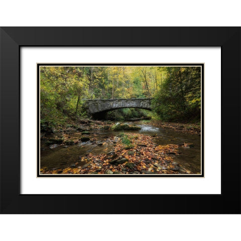 Arched Bridge Black Modern Wood Framed Art Print with Double Matting by Head, Danny