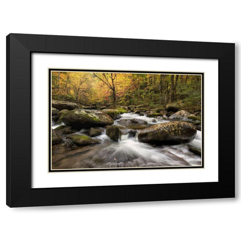 Autumn at Tremont I Black Modern Wood Framed Art Print with Double Matting by Head, Danny