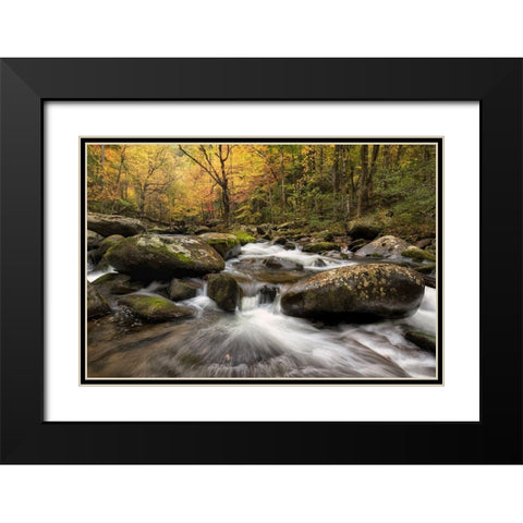 Autumn at Tremont I Black Modern Wood Framed Art Print with Double Matting by Head, Danny