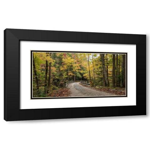 Golden Crossing Black Modern Wood Framed Art Print with Double Matting by Head, Danny