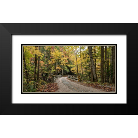 Golden Crossing Black Modern Wood Framed Art Print with Double Matting by Head, Danny