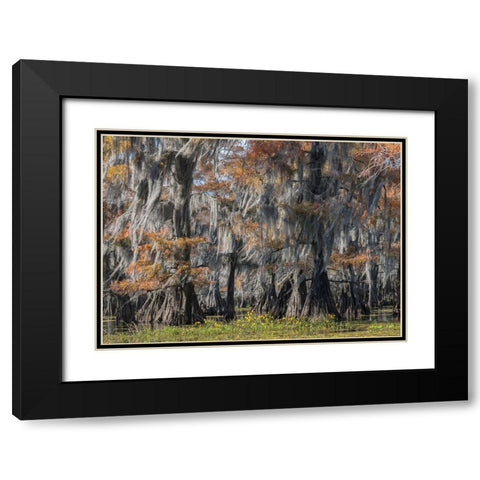 Bayou Flowers Black Modern Wood Framed Art Print with Double Matting by Head, Danny