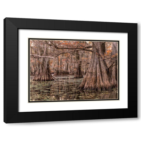 On the Bayou I Black Modern Wood Framed Art Print with Double Matting by Head, Danny