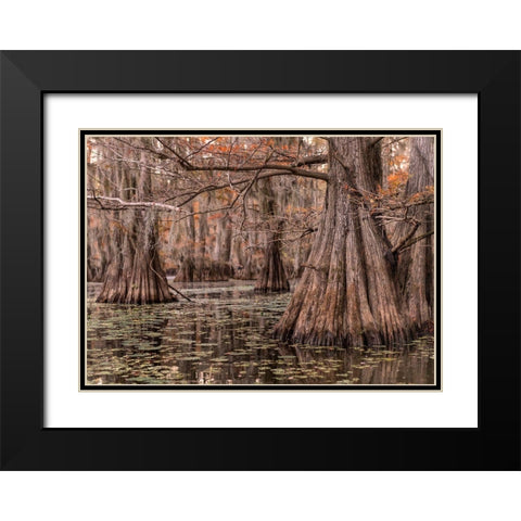 On the Bayou I Black Modern Wood Framed Art Print with Double Matting by Head, Danny