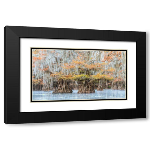 Bayou Colors Black Modern Wood Framed Art Print with Double Matting by Head, Danny