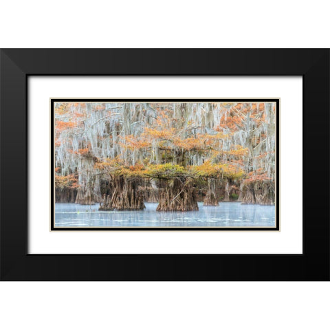 Bayou Colors Black Modern Wood Framed Art Print with Double Matting by Head, Danny