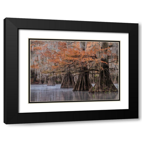 All Lined Up Black Modern Wood Framed Art Print with Double Matting by Head, Danny