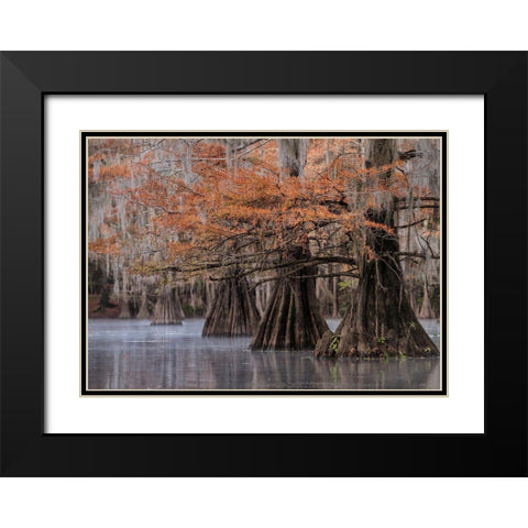 All Lined Up Black Modern Wood Framed Art Print with Double Matting by Head, Danny