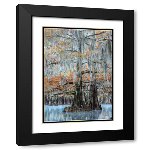 Hues of Blue Black Modern Wood Framed Art Print with Double Matting by Head, Danny
