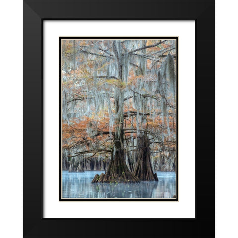 Hues of Blue Black Modern Wood Framed Art Print with Double Matting by Head, Danny