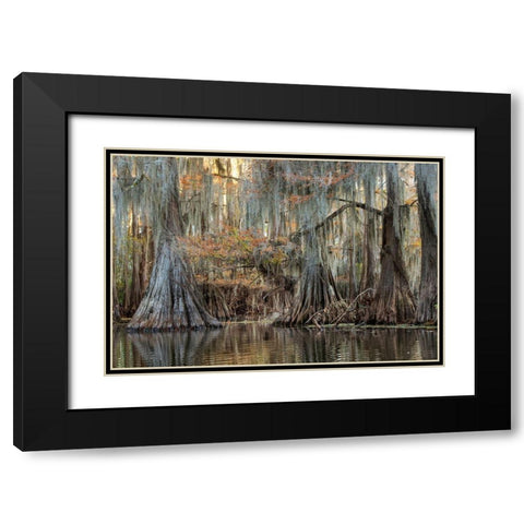 Cypress Silk Black Modern Wood Framed Art Print with Double Matting by Head, Danny