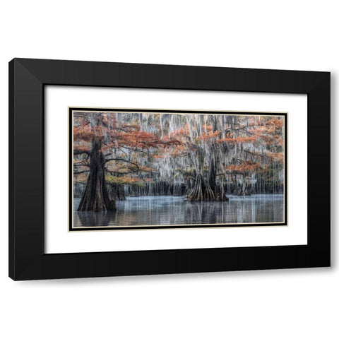 Spanish Moss II Black Modern Wood Framed Art Print with Double Matting by Head, Danny